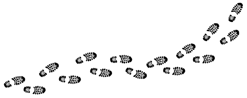 Preporuke